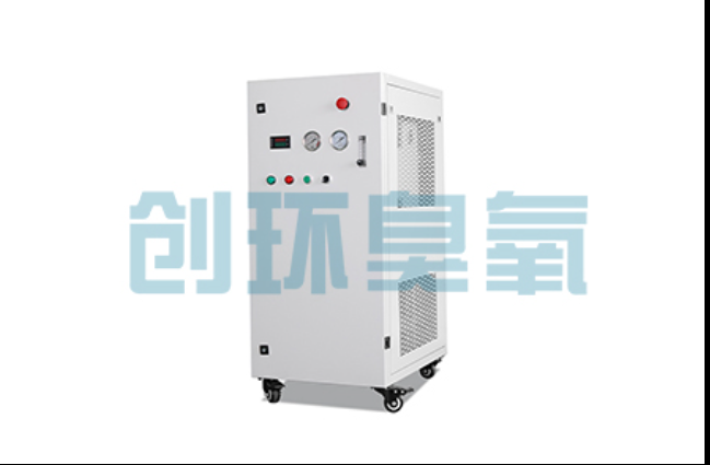 海淀工厂化养鲈必看：2026年臭氧发生器替代传统消毒的最新方案