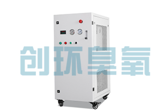 海淀石斑鱼养殖水质调控完整指南：臭氧发生器配置与操作步骤