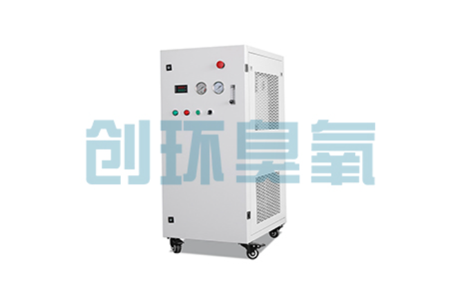 海淀比传统换水更高效？臭氧发生器在石斑鱼养殖中的水质净化原理解析